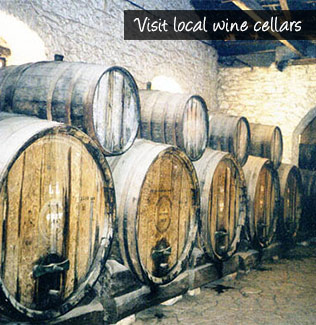 Visit local wine cellars